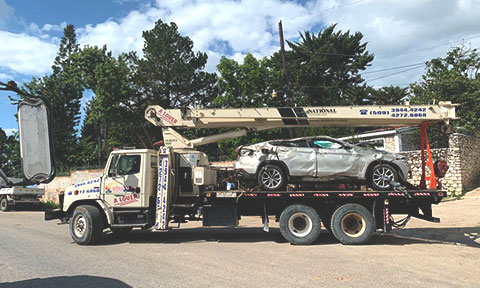 Trucking - Transportation and Logistics Vehicle Fleet