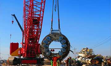 Trucking - Transportation and Logistics Vehicle Fleet