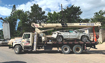 Trucking - Transportation and Logistics Vehicle Fleet